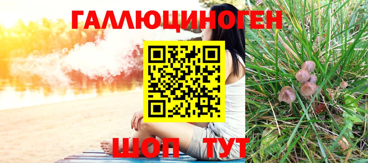 Псилоцибиновые грибы MAGIC MUSHROOMS  Вход с VPN  Орехово-Зуево 