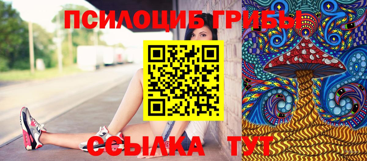 Псилоцибиновые грибы Psilocybe Орехово-Зуево